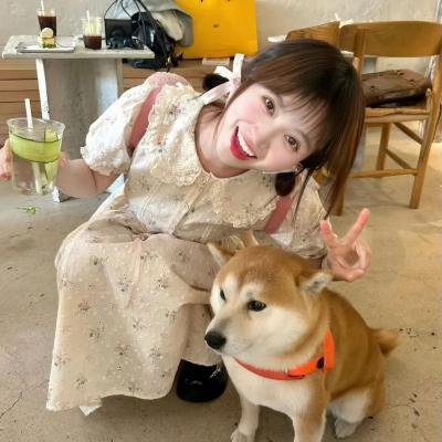 新妇日记